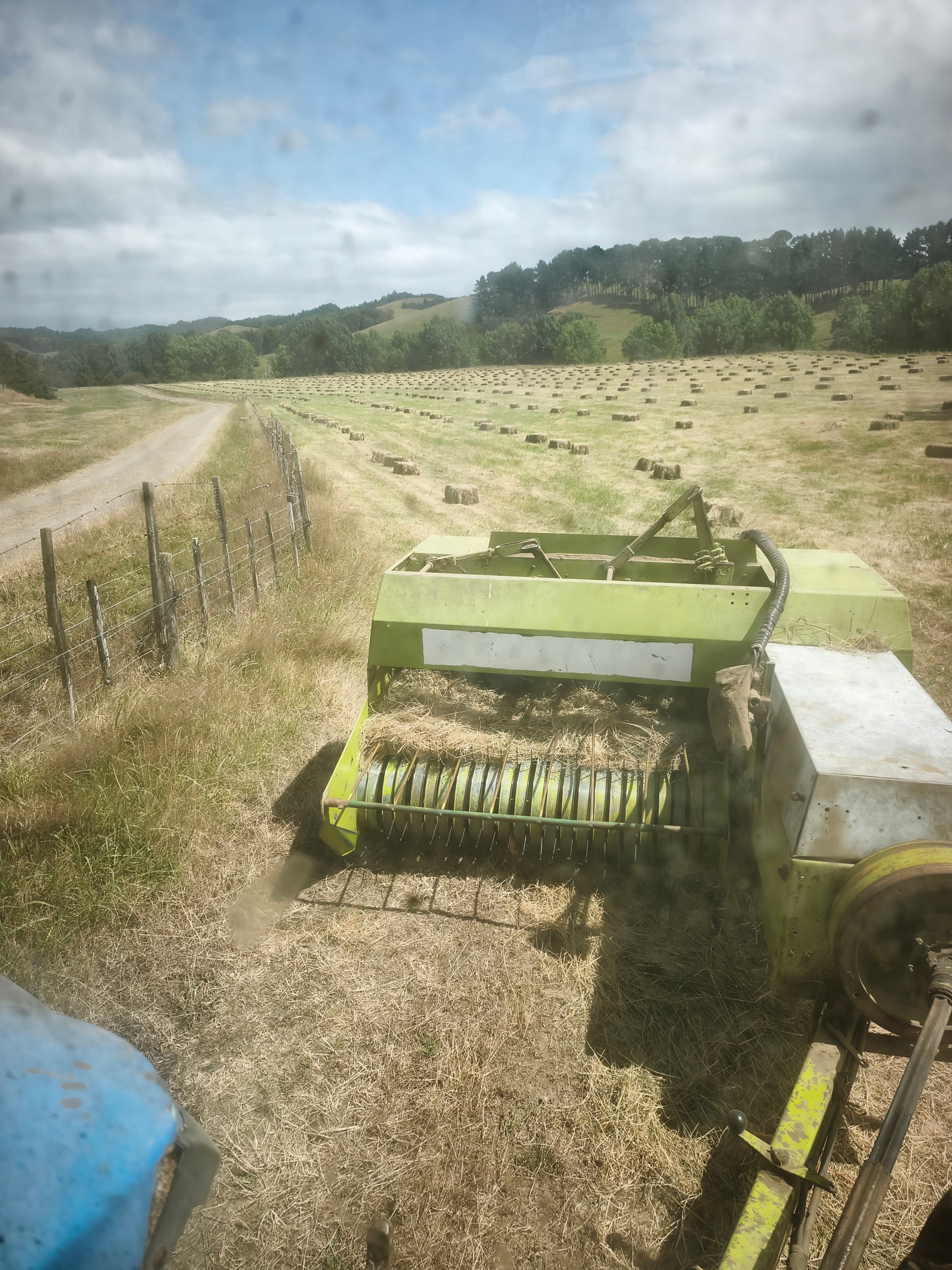 Conventional hay
