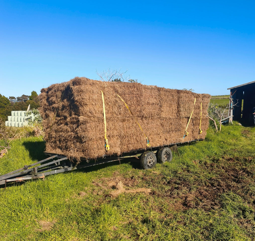 Premium Meadow Hay
