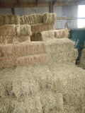 Premium Meadow Hay